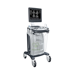 MY-A021 NOUVEAU chariot numérique complet B / W Système de diagnostic à ultrasons Machine à ultrasons mobile