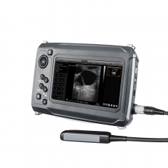 My - a015d - un système à ultrasons tactiles de haute qualité pour la numérisation de grands animaux