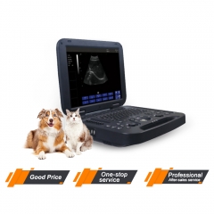 My - a009a - B portable portable portable scanner ultrasonique hôpital